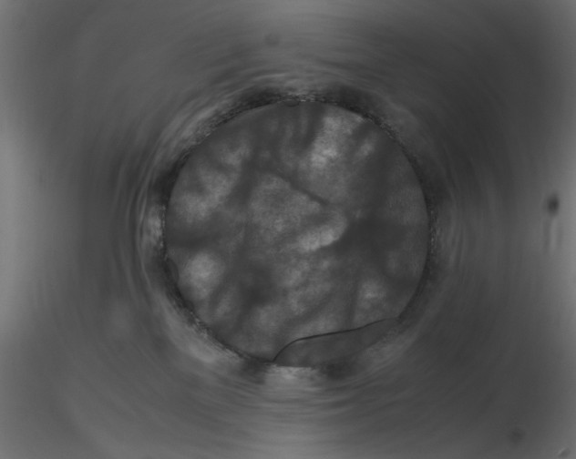 X0000116560137200912311940