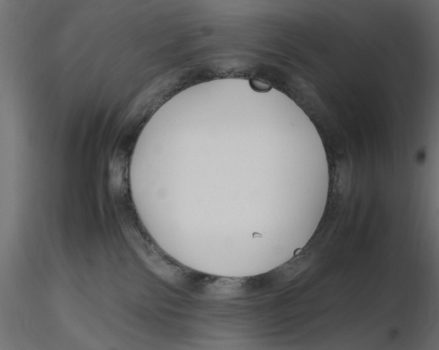 X0000116560138200912311940