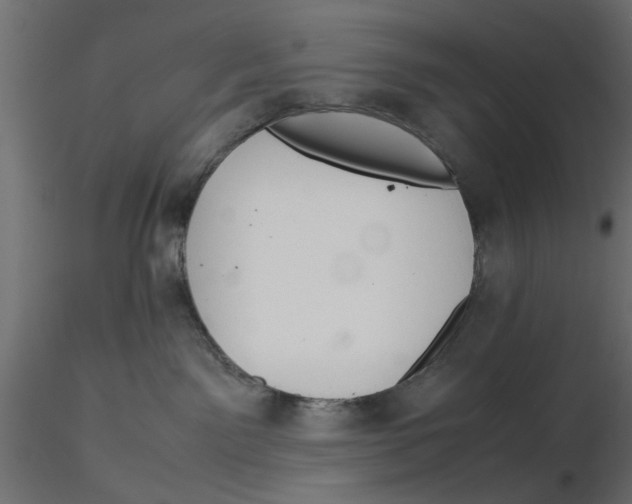 X0000116560141200912311940