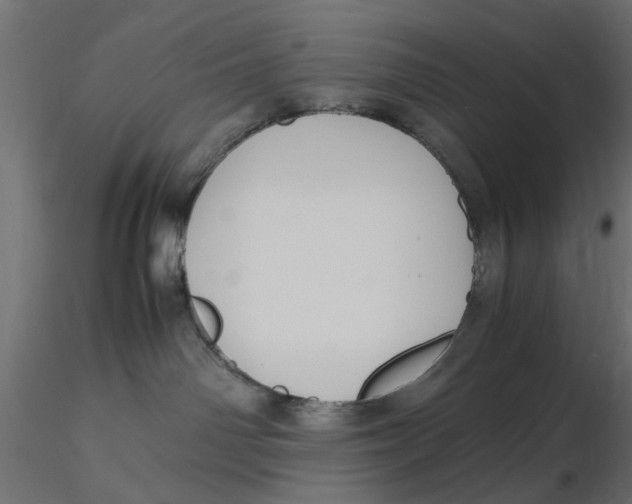 X0000116560142200912311940