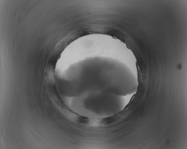 X0000116560143200912311940