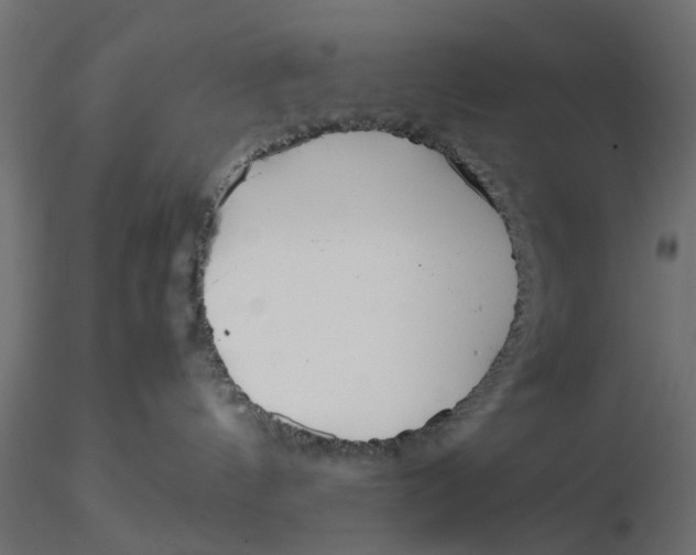 X0000116560144200912311940