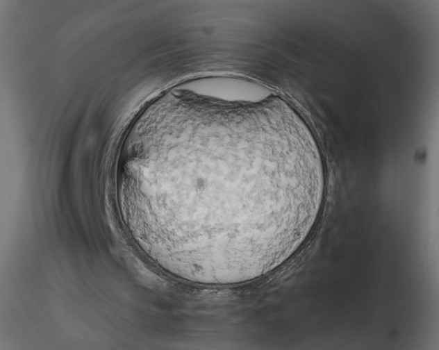 X0000116560145200912311939