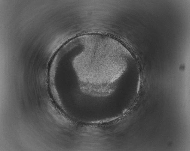 X0000116560146200912311939