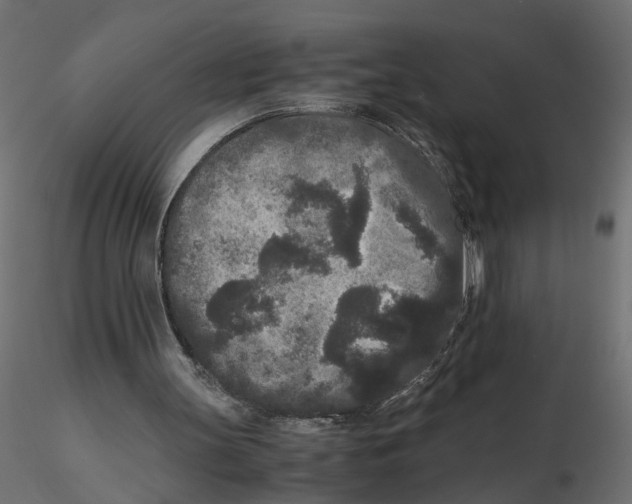 X0000116560147200912311940