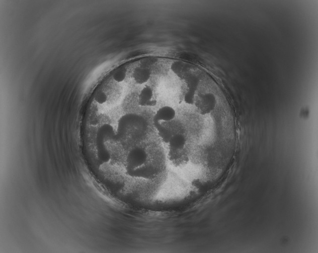 X0000116560149200912311940