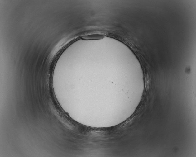 X0000116560150200912311940