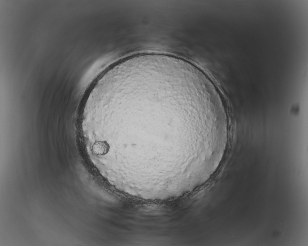 X0000116560151200912311940