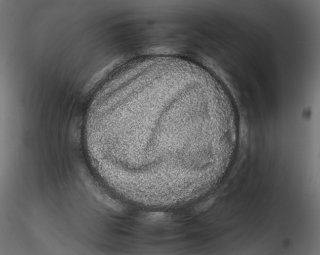 X0000116560153200912311940