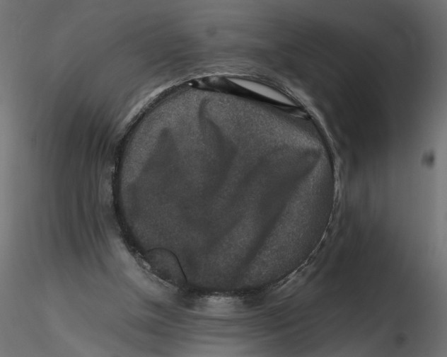 X0000116560154200912311940