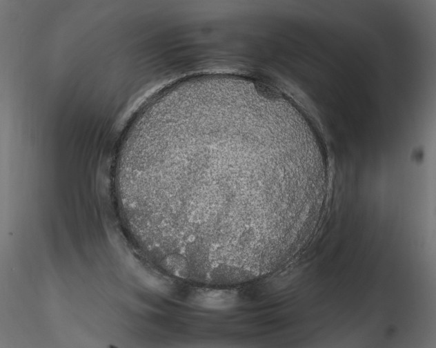 X0000116560155200912311940