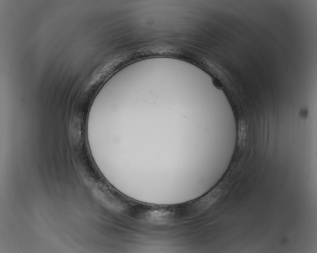 X0000116560158200912311940