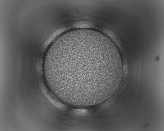 X0000116560159200912311940