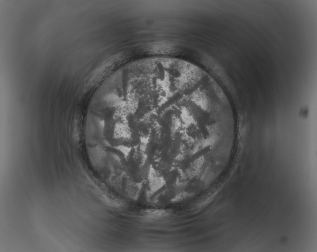 X0000116560161200912311940