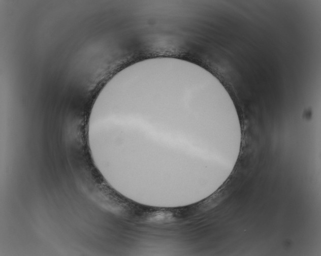 X0000116560162200912311940