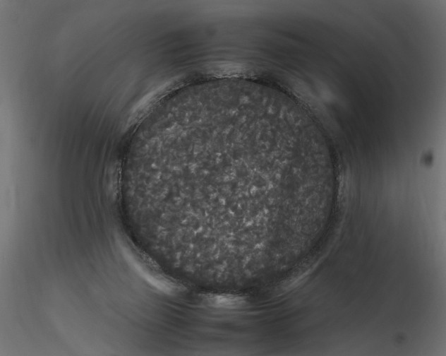 X0000116560165200912311940