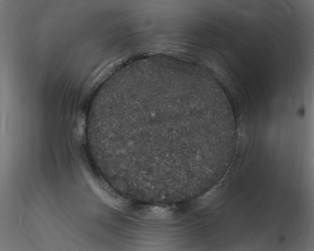 X0000116560166200912311940