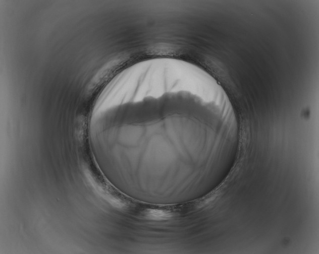 X0000116560167200912311940