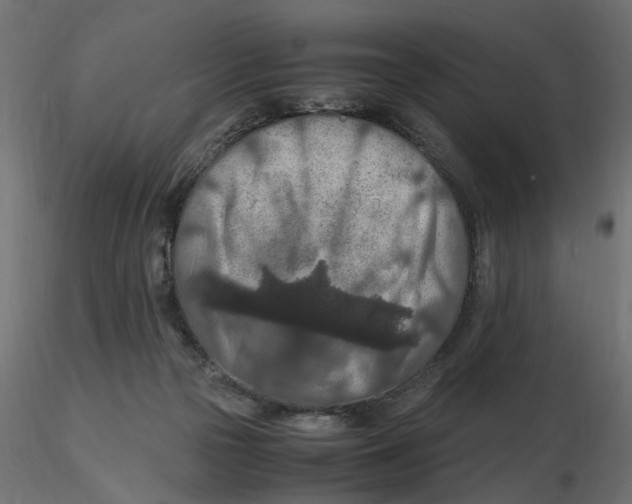 X0000116560169200912311940