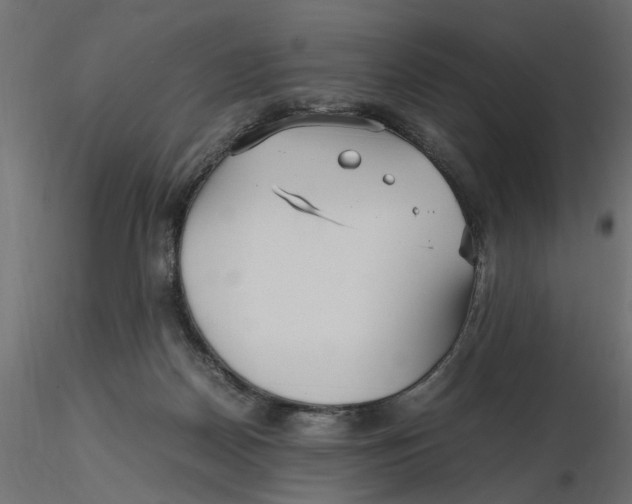 X0000116560170200912311940