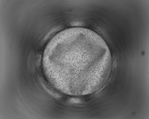 X0000116560171200912311940