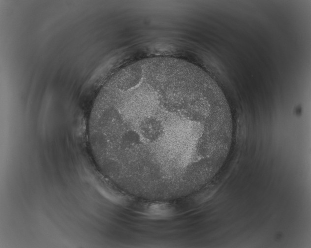 X0000116560173200912311940