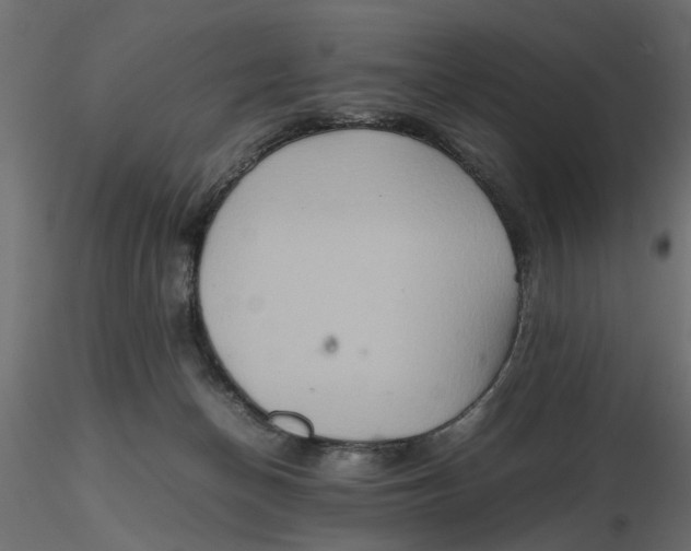 X0000116560174200912311940