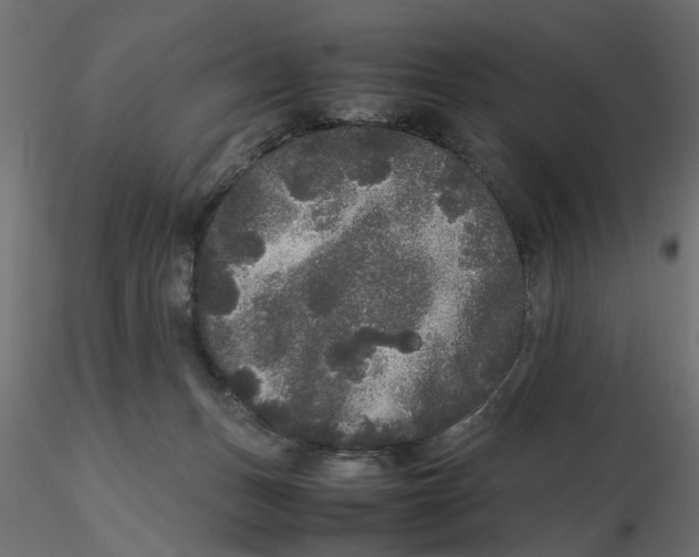 X0000116560175200912311940