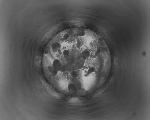 X0000116560177200912311940