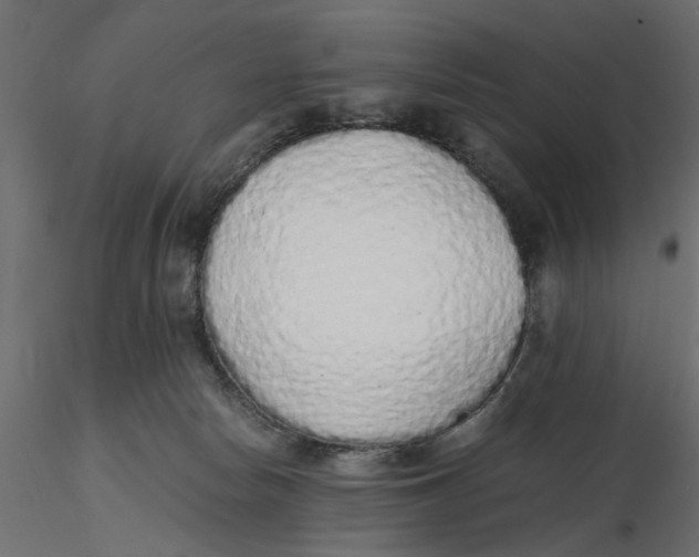 X0000116560178200912311940