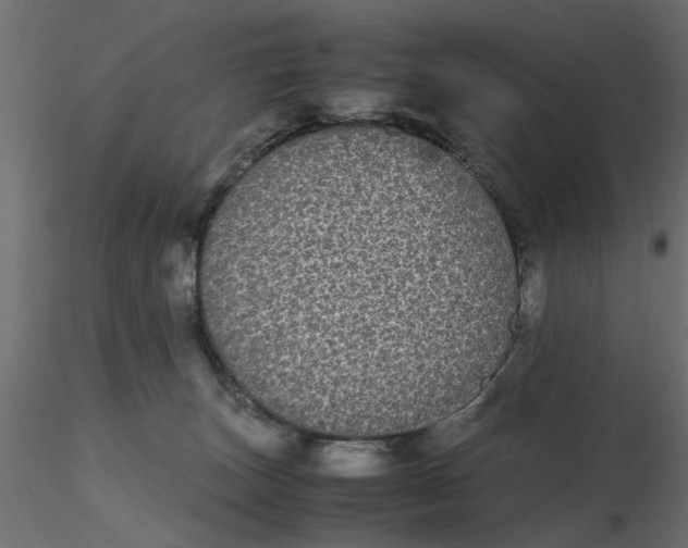 X0000116560179200912311940