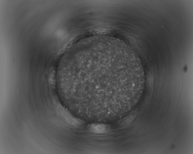 X0000116560181200912311940