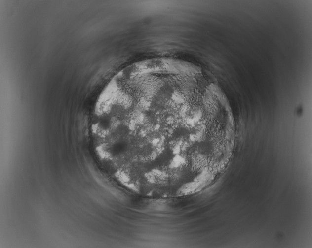 X0000116560182200912311940