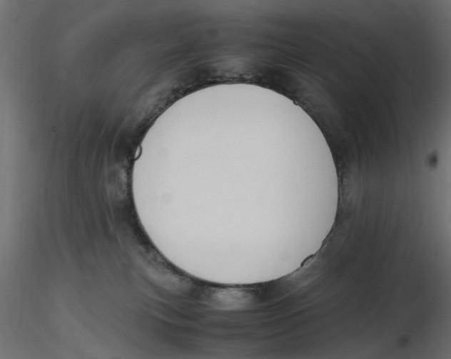 X0000116560183200912311940