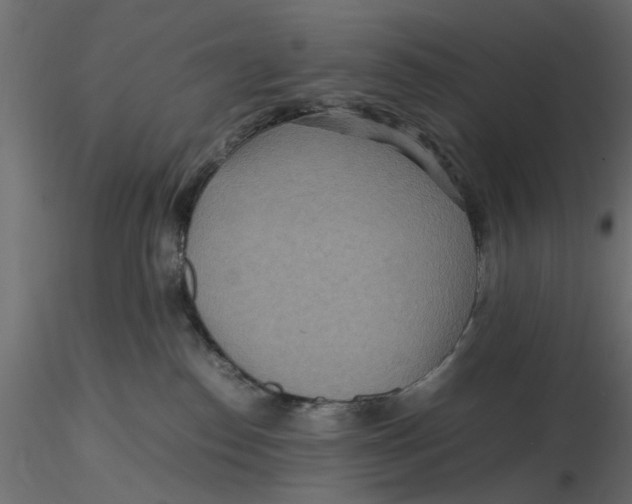 X0000116560186200912311940