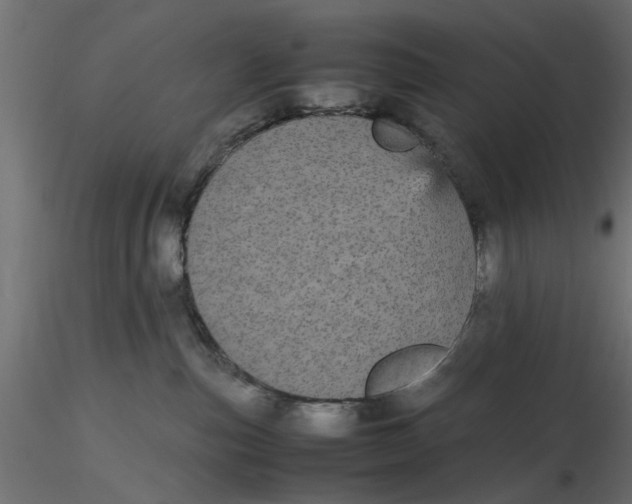 X0000116560187200912311940