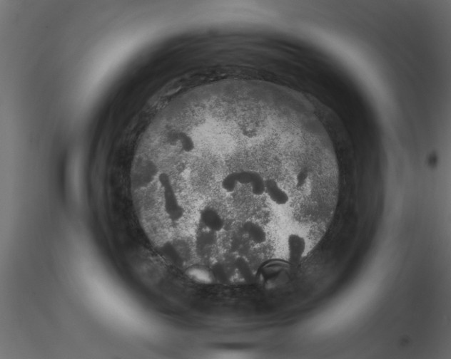 X0000116560189200912311940