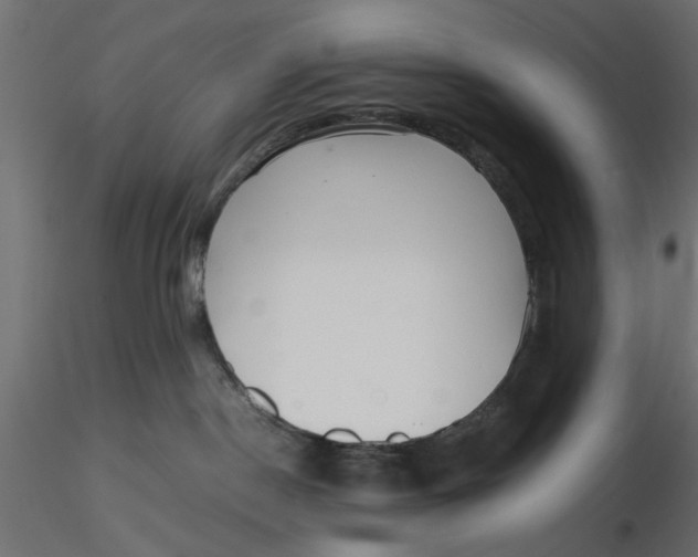 X0000116560190200912311940