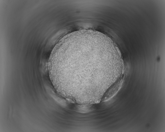 X0000116560191200912311940