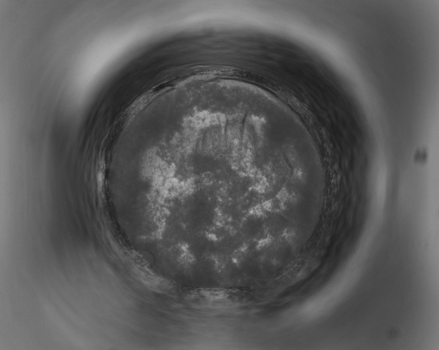 X0000116560194200912311939