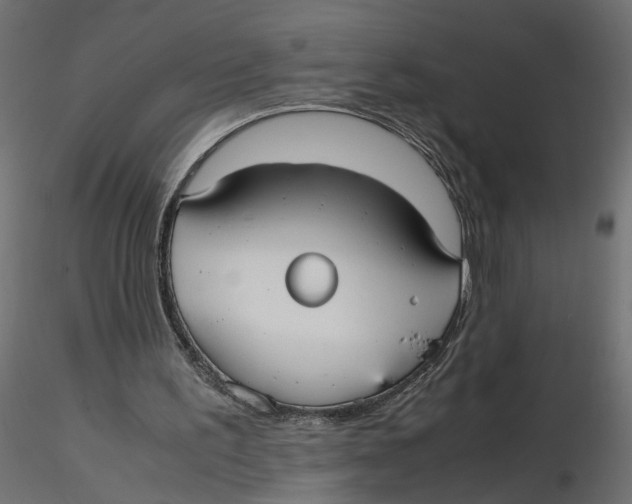 X0000116560195200912311939