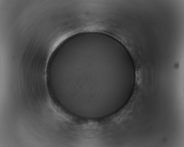 X0000116560196200912311939