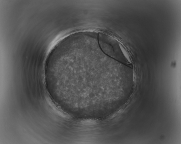 X0000116560198200912311939