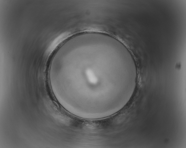 X0000116560199200912311939