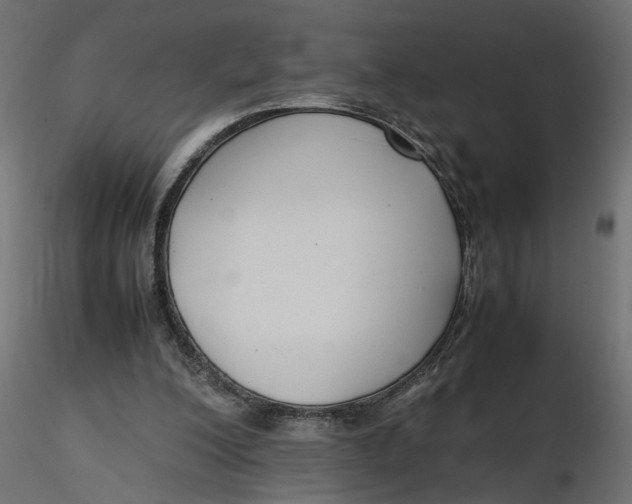 X0000116560200200912311939