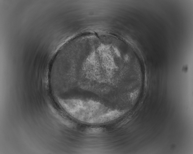 X0000116560202200912311939