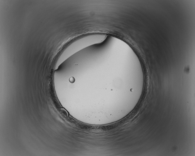 X0000116560203200912311939