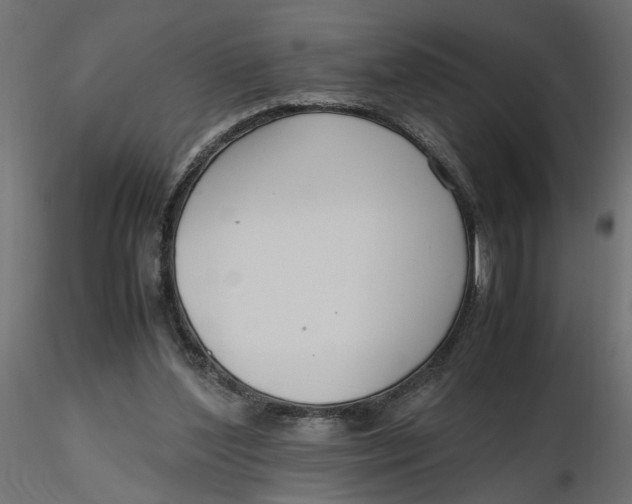 X0000116560204200912311939