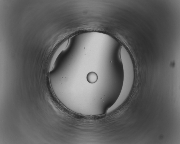 X0000116560205200912311939