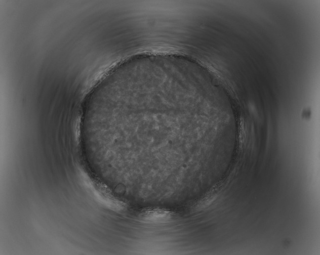 X0000116560206200912311939